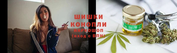 шишки Заволжск