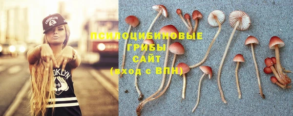 шишки Заволжск