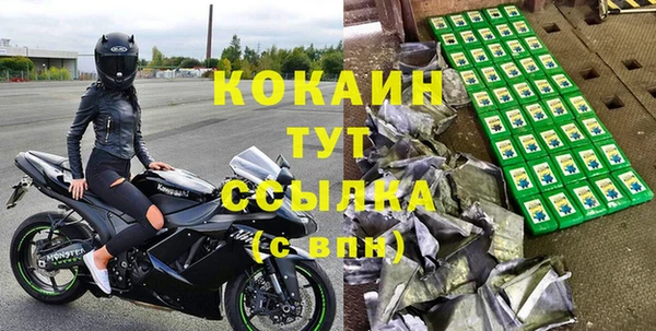 шишки Заволжск