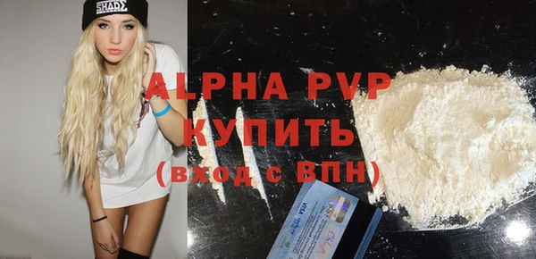 шишки Заволжск