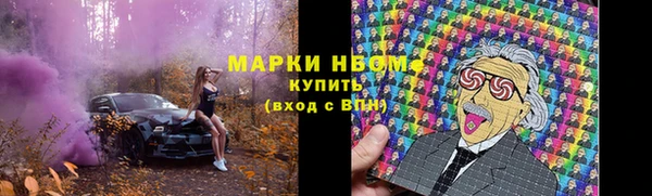 шишки Заволжск