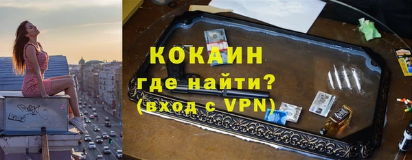 шишки Заволжск