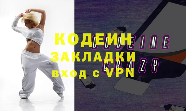 шишки Заволжск