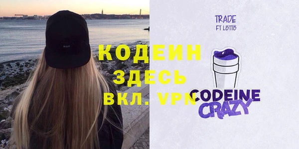 шишки Заволжск