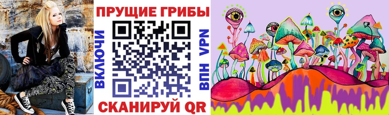 Купить закладки  Фатеж  Псилоцибиновые грибы прущие грибы 
